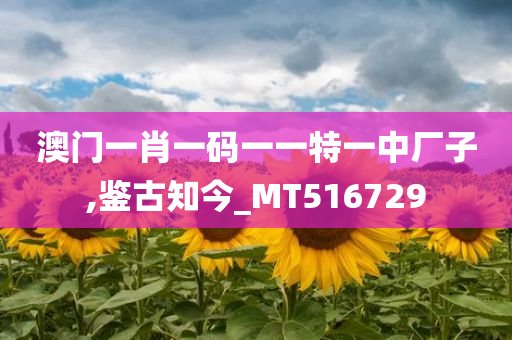 澳门一肖一码一一特一中厂子,鉴古知今_MT516729