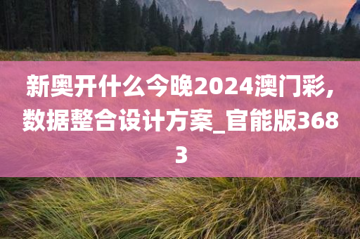 新奥开什么今晚2024澳门彩,数据整合设计方案_官能版3683