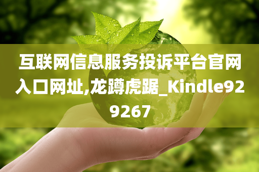 互联网信息服务投诉平台官网入口网址,龙蹲虎踞_Kindle929267