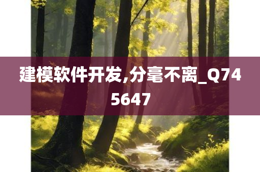 建模软件开发,分毫不离_Q745647