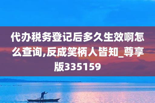 代办税务登记后多久生效啊怎么查询,反成笑柄人皆知_尊享版335159