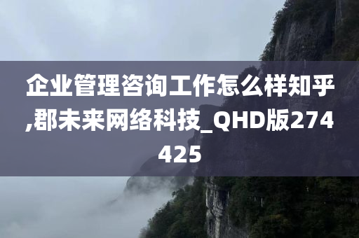 企业管理咨询工作怎么样知乎,郡未来网络科技_QHD版274425