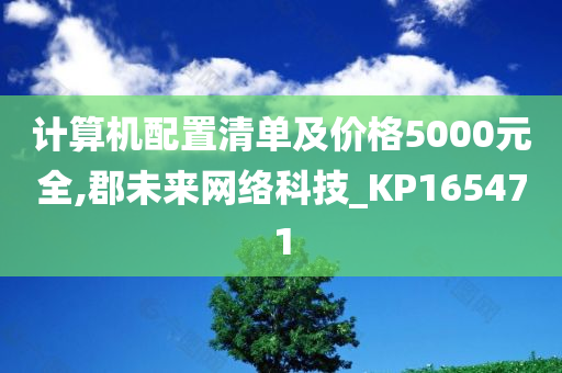 计算机配置清单及价格5000元全,郡未来网络科技_KP165471