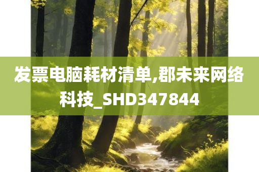 发票电脑耗材清单,郡未来网络科技_SHD347844