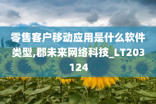 零售客户移动应用是什么软件类型,郡未来网络科技_LT203124