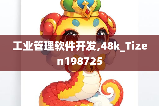 工业管理软件开发,48k_Tizen198725