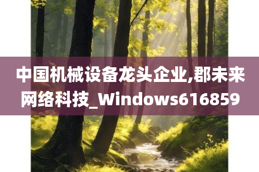 中国机械设备龙头企业,郡未来网络科技_Windows616859