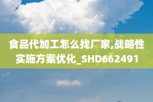 食品代加工怎么找厂家,战略性实施方案优化_SHD662491