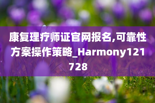 康复理疗师证官网报名,可靠性方案操作策略_Harmony121728