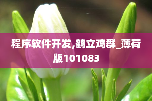 程序软件开发,鹤立鸡群_薄荷版101083