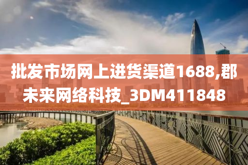 批发市场网上进货渠道1688,郡未来网络科技_3DM411848