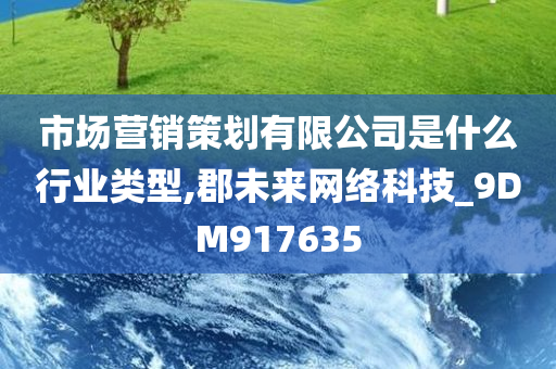 市场营销策划有限公司是什么行业类型,郡未来网络科技_9DM917635