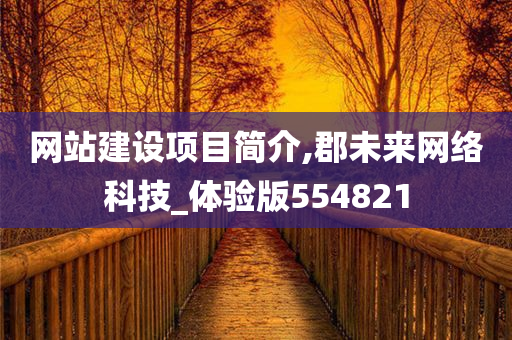 网站建设项目简介,郡未来网络科技_体验版554821