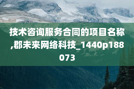 技术咨询服务合同的项目名称,郡未来网络科技_1440p188073