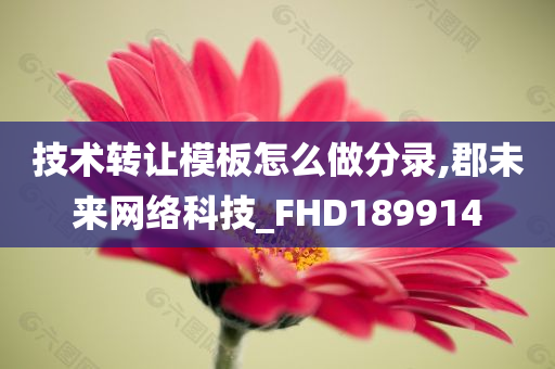 技术转让模板怎么做分录,郡未来网络科技_FHD189914