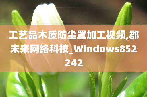 工艺品木质防尘罩加工视频,郡未来网络科技_Windows852242