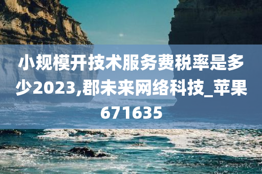 小规模开技术服务费税率是多少2023,郡未来网络科技_苹果671635