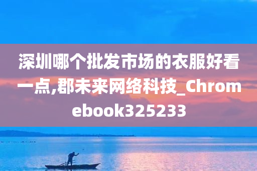 深圳哪个批发市场的衣服好看一点,郡未来网络科技_Chromebook325233