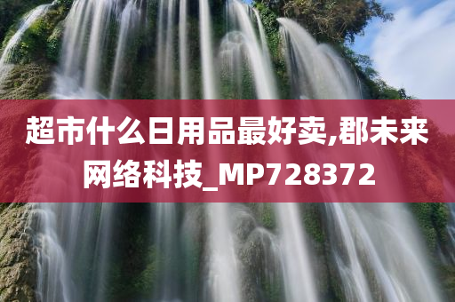 超市什么日用品最好卖,郡未来网络科技_MP728372