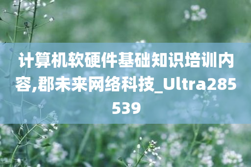 计算机软硬件基础知识培训内容,郡未来网络科技_Ultra285539