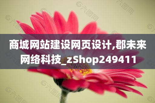 商城网站建设网页设计,郡未来网络科技_zShop249411