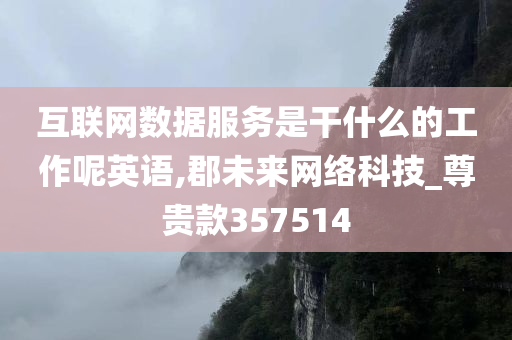 互联网数据服务是干什么的工作呢英语,郡未来网络科技_尊贵款357514