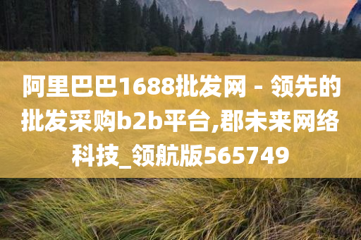 阿里巴巴1688批发网 - 领先的批发采购b2b平台,郡未来网络科技_领航版565749