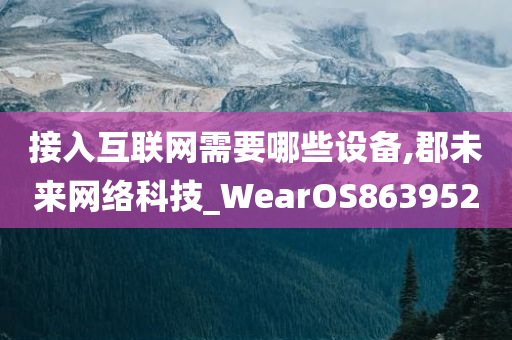 接入互联网需要哪些设备,郡未来网络科技_WearOS863952