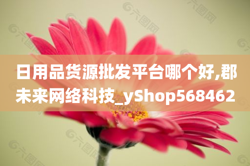 日用品货源批发平台哪个好,郡未来网络科技_yShop568462