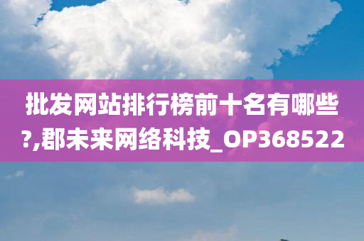 批发网站排行榜前十名有哪些?,郡未来网络科技_OP368522