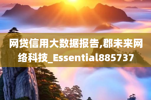 网贷信用大数据报告,郡未来网络科技_Essential885737