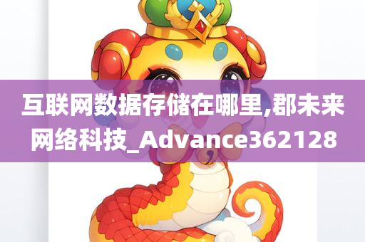 互联网数据存储在哪里,郡未来网络科技_Advance362128