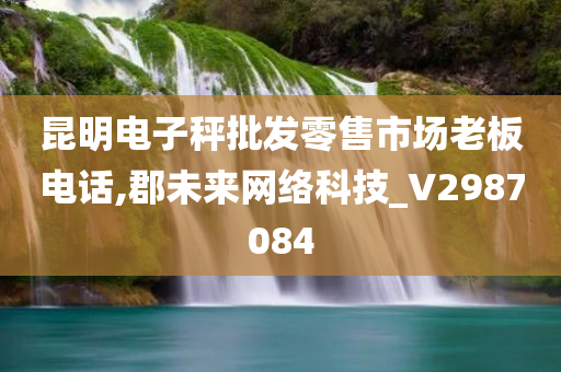 昆明电子秤批发零售市场老板电话,郡未来网络科技_V2987084