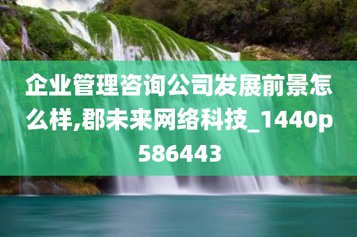 企业管理咨询公司发展前景怎么样,郡未来网络科技_1440p586443