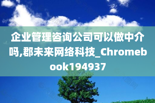 企业管理咨询公司可以做中介吗,郡未来网络科技_Chromebook194937