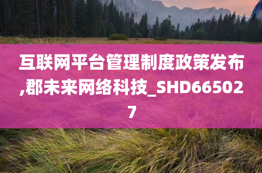 互联网平台管理制度政策发布,郡未来网络科技_SHD665027