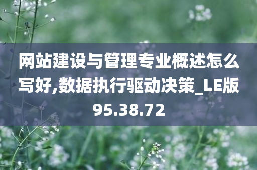 网站建设与管理专业概述怎么写好,数据执行驱动决策_LE版95.38.72