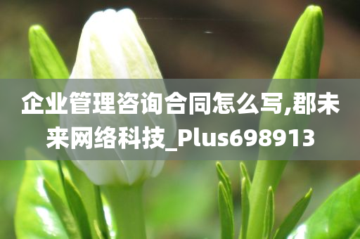 企业管理咨询合同怎么写,郡未来网络科技_Plus698913