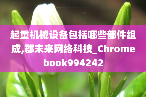 起重机械设备包括哪些部件组成,郡未来网络科技_Chromebook994242