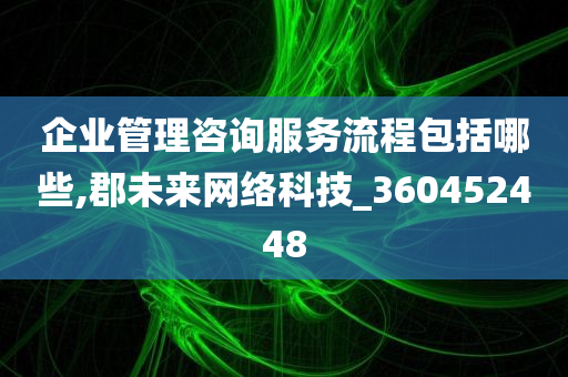 企业管理咨询服务流程包括哪些,郡未来网络科技_360452448