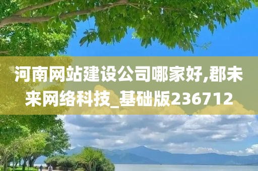 河南网站建设公司哪家好,郡未来网络科技_基础版236712