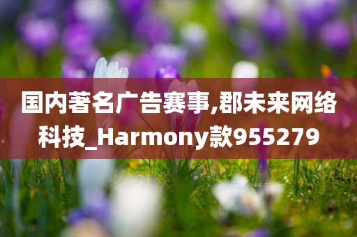 国内著名广告赛事,郡未来网络科技_Harmony款955279