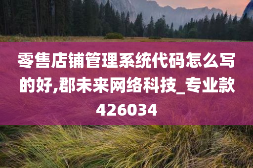 零售店铺管理系统代码怎么写的好,郡未来网络科技_专业款426034