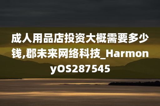 成人用品店投资大概需要多少钱,郡未来网络科技_HarmonyOS287545