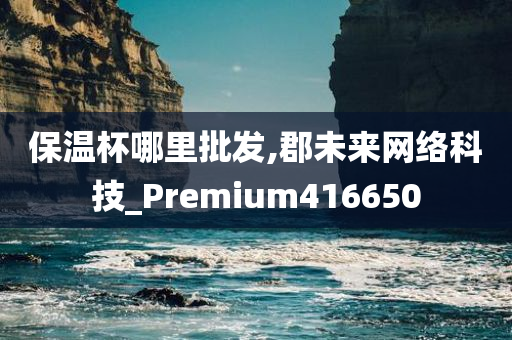 保温杯哪里批发,郡未来网络科技_Premium416650