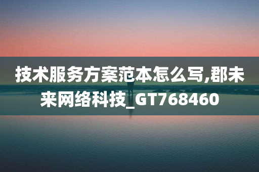 技术服务方案范本怎么写,郡未来网络科技_GT768460