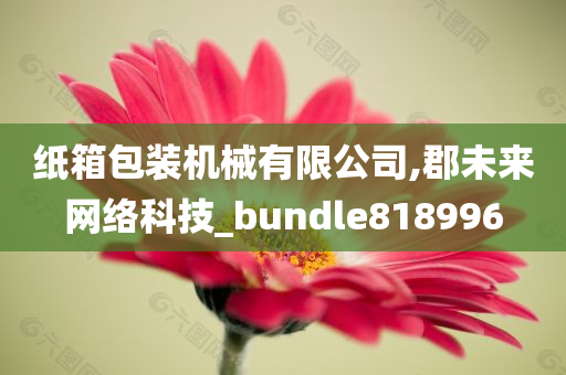 纸箱包装机械有限公司,郡未来网络科技_bundle818996