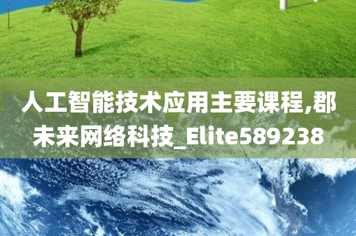 人工智能技术应用主要课程,郡未来网络科技_Elite589238