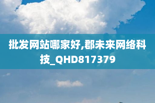 批发网站哪家好,郡未来网络科技_QHD817379