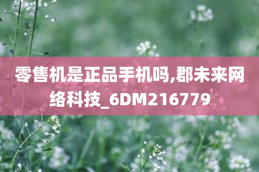 零售机是正品手机吗,郡未来网络科技_6DM216779